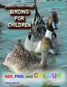 Birding for Childreen