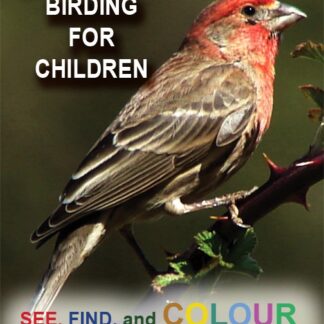 Birding for Childreen VL2