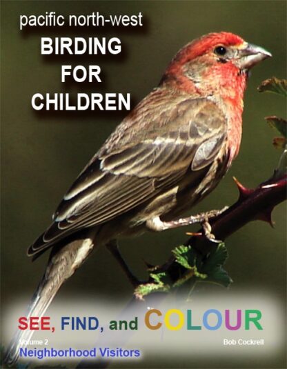 Birding for Childreen VL2