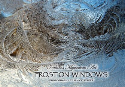 Frost on Windows