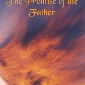 The promise of the father